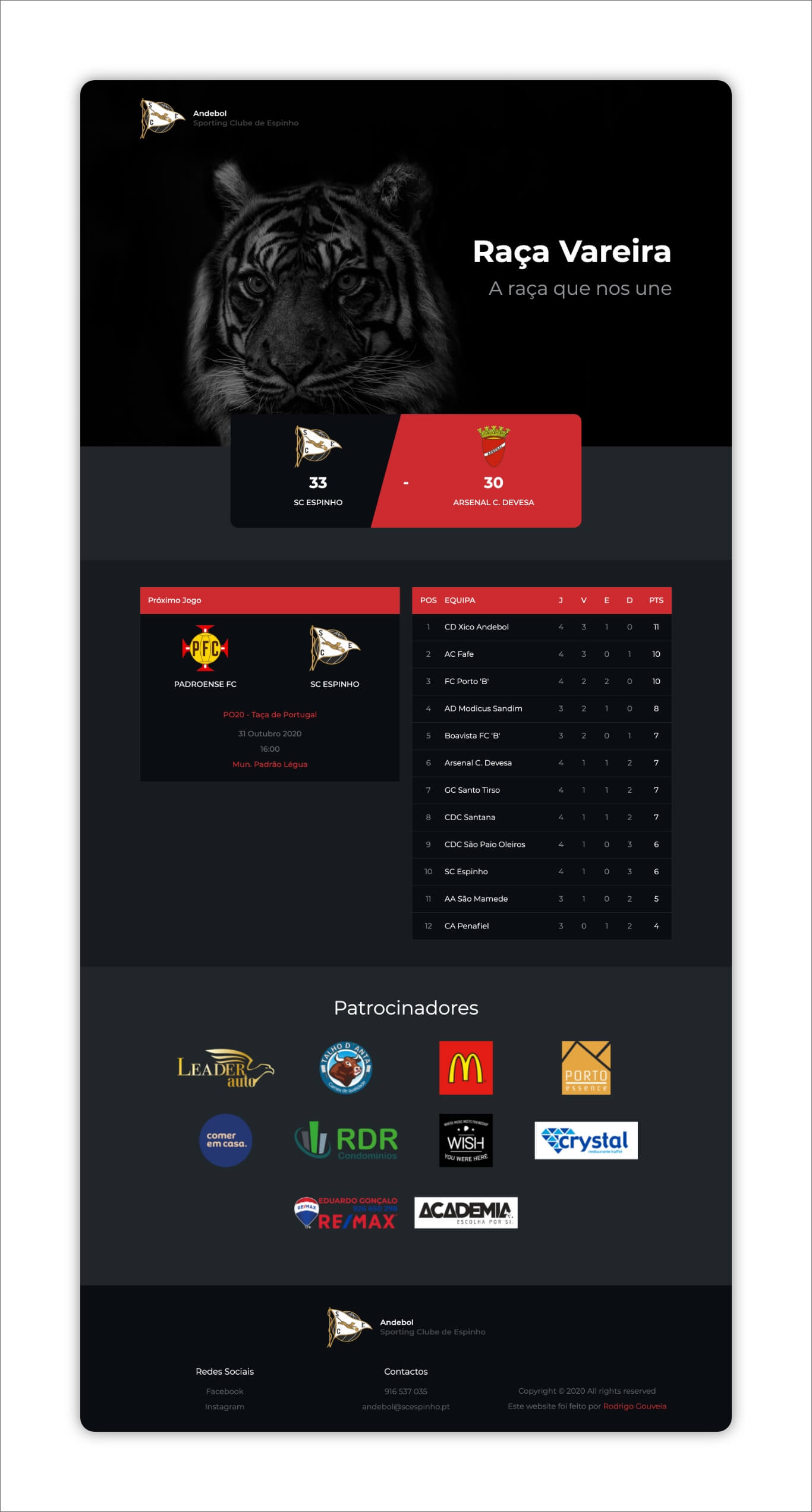 SC Espinho Andebol detalhe 2